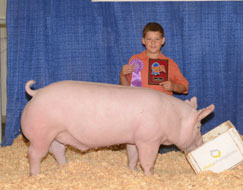 Nebraska State Fair Show Pig Results