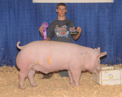 Nebraska State Fair Show Pig Results