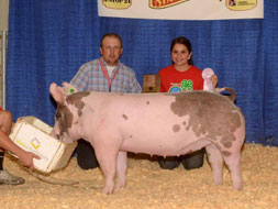 Nebraska State Fair Show Pig Results