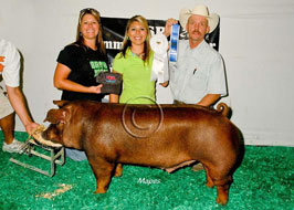 NJSS Barrow Show