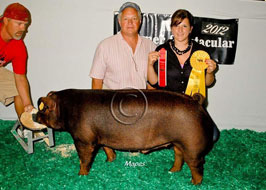 NJSS Barrow Show
