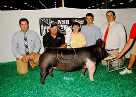 NJSS Barrow Show