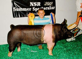 NJSS Barrow Show