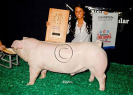 NJSS Barrow Show