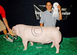 NJSS Barrow Show