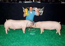 NJSS Barrow Show