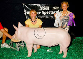 NJSS Barrow Show