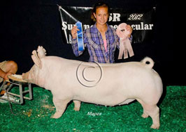 NJSS Barrow Show