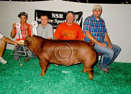 NJSS Gilt Show