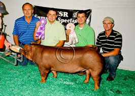 NJSS Gilt Show