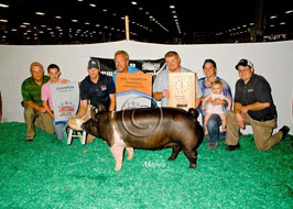 NJSS Gilt Show