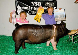 NJSS Gilt Show