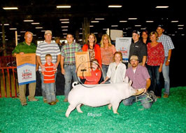 NJSS Gilt Show