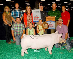 NJSS Gilt Show