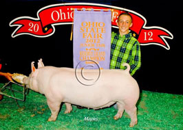 Ohio State Fair Show Pig Results