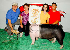 Ohio State Fair Show Pig Results