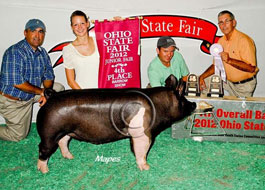 Ohio State Fair Show Pig Results