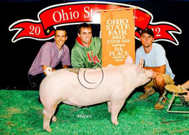 Ohio State Fair Show Pig Results