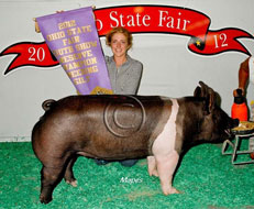 Ohio State Fair Show Pig Results