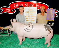 Ohio State Fair Show Pig Results