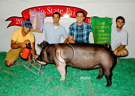 Ohio State Fair Show Pig Results