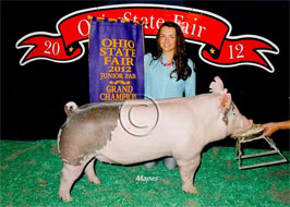 Ohio State Fair Show Pig Results