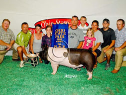 Ohio State Fair Show Pig Results