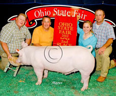 Ohio State Fair Show Pig Results
