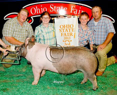 Ohio State Fair Show Pig Results
