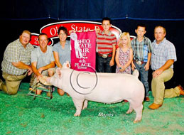 Ohio State Fair Show Pig Results