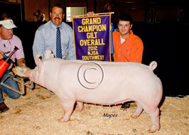 NJSA Southwest Regional Results