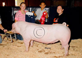NJSA Southwest Regional Results