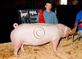 NJSA Southwest Regional Results