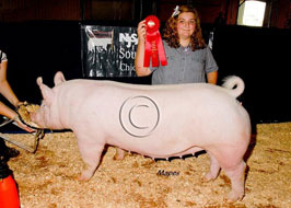 NJSA Southwest Regional Results