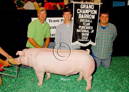 Team Purebred Barrow Show