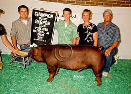 Team Purebred Barrow Show