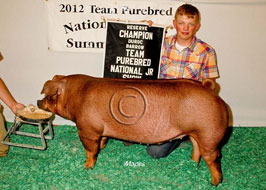 Team Purebred Barrow Show