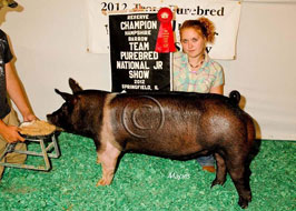 Team Purebred Barrow Show