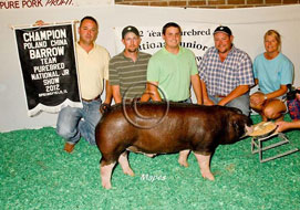 Team Purebred Barrow Show