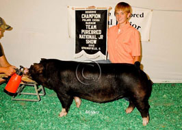 Team Purebred Barrow Show