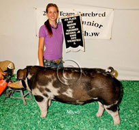 Team Purebred Barrow Show