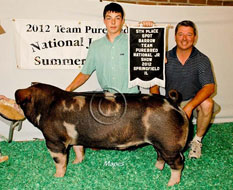 Team Purebred Barrow Show