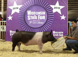 Wisconsin State Fair Show Pig Results