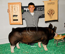 World Pork Expo Jr Barrow Show Winner