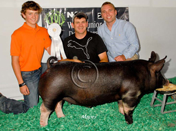 World Pork Expo Jr Barrow Show Winner