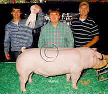 World Pork Expo Jr Barrow Show Winner