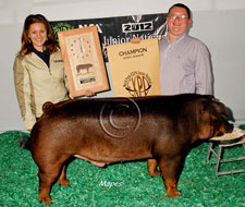 World Pork Expo Jr Barrow Show Winner