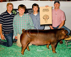World Pork Expo Jr Barrow Show Winner
