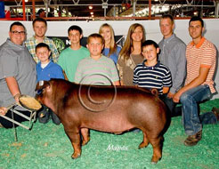 World Pork Expo Jr Barrow Show Winner