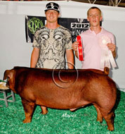 World Pork Expo Jr Barrow Show Winner